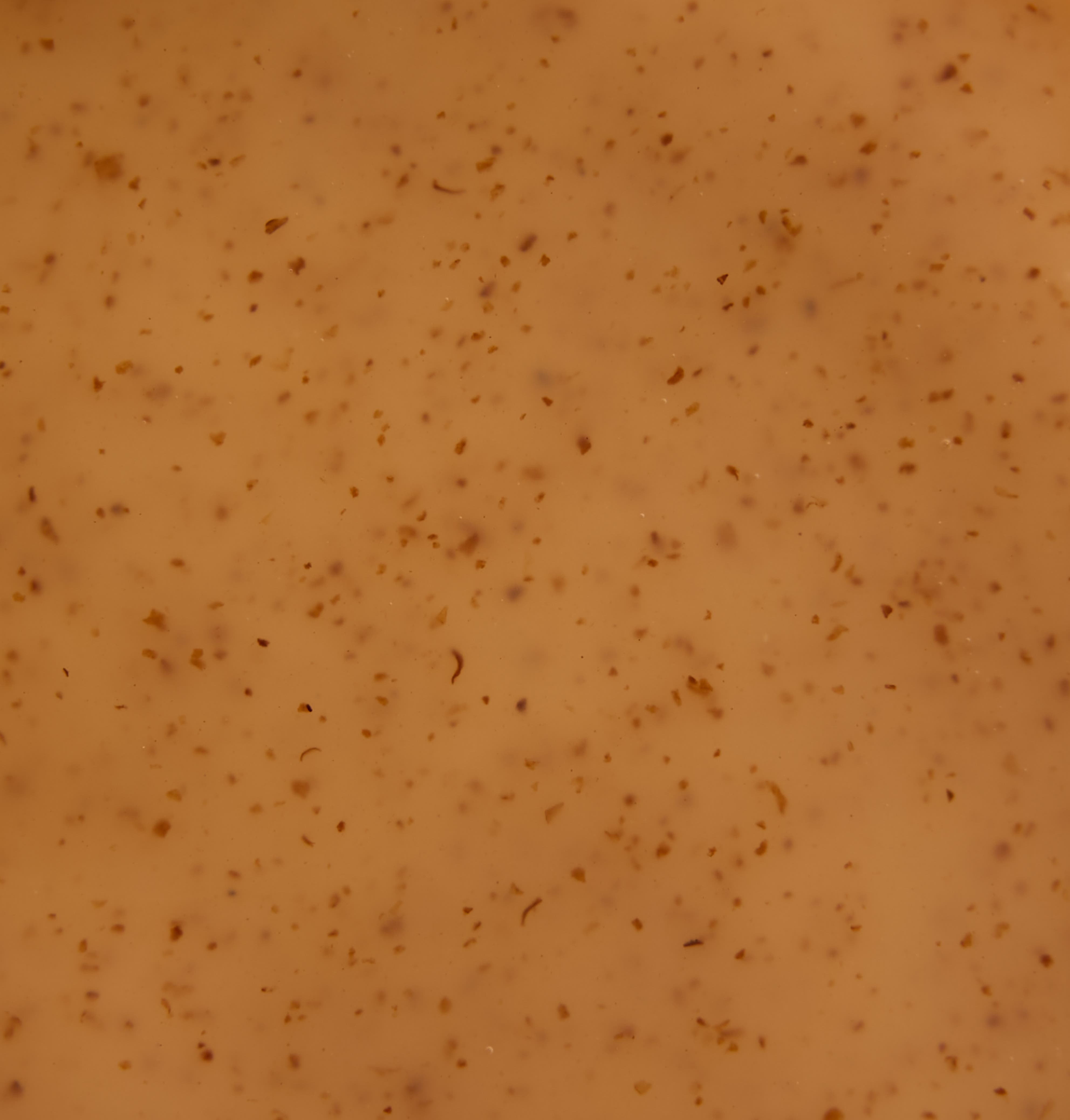 Scalp Exfoliating Shampoo